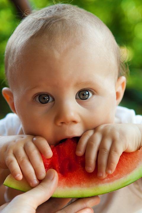 宝宝不往嘴巴塞东西吃宝宝不爱吃辅食怎么办